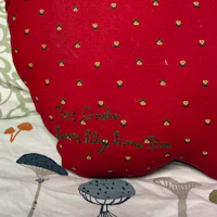 a red pillow with embroidered words on it