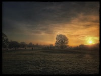 the sun is setting over a grassy field