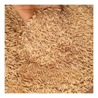 a pile of brown rice in someone's hand