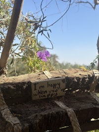 a wooden bench with a sign that says i'm happy new year