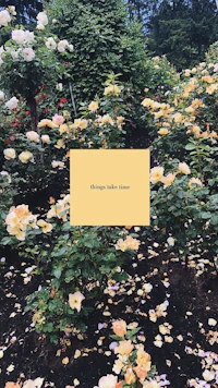 a yellow card in a garden with roses