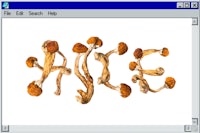 a screen shot of a computer screen with mushrooms on it