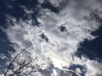 a cloudy sky with bare trees in the background