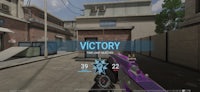 a screenshot of a game with the word victory on it