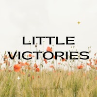 a field of poppies with the words little victories