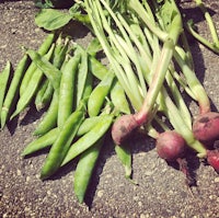 a bunch of green peas and radishes on the ground