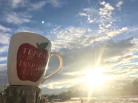 a coffee mug sitting on a stump with the sun behind it