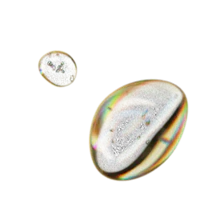 two soap bubbles on a black background