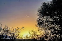 the sun is setting behind a tree