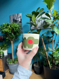 a person holding a coffee cup in front of a potted plant
