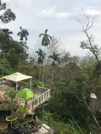 a view from the top of a hill with trees in the background
