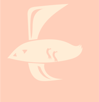 a white bird on a peach background