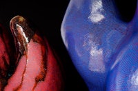 a blue and red teddy bear