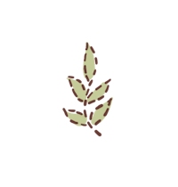 a leaf on a black background