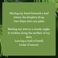 a leaf with a poem written on it