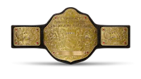 the wwe championship belt on a black background