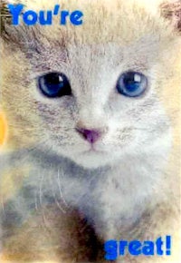 an image of a kitten with the words you're great