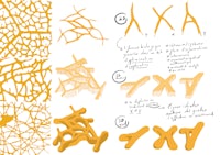a sketch of a tree with different letters and numbers