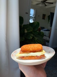 a person holding a plate with a sandwich on it