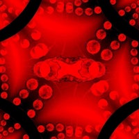 a red and black fractal pattern on a black background