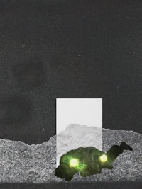a black and white drawing of a green lizard on a rock