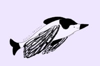 a drawing of a penguin flying in the air