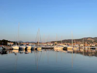 a group of sailboats docked in a marina