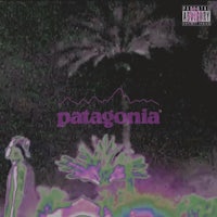the cover of patagonia's new album