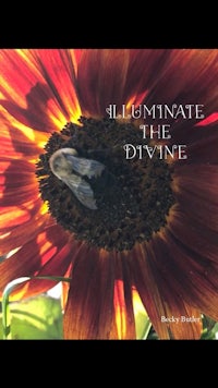 an image of a sunflower with the words illuminate the divine