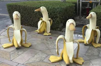 a group of ducks made out of bananas on a sidewalk