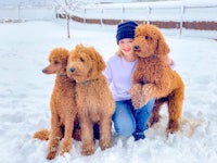 a woman posing with three brown poodles in the snow