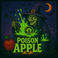 a witch with a potion apple in front of a witch's hat