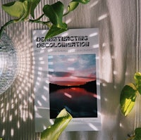 a book with the title destructive decolonization next to a plant