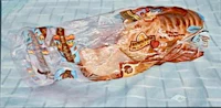 a painting of bread in a plastic bag