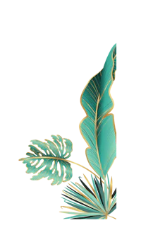 tropical leaves on a black background