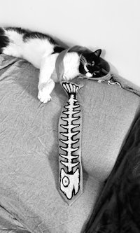 a cat laying on a couch with a fish skeleton