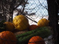 a bunch of vegetables in a basket