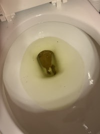 a toilet bowl with a brown substance in it
