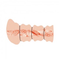 an illustration of a woman's genitals