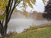 a lake surrounded by trees and a foggy morning