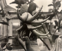 a black and white photo of a person holding a fruit