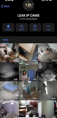 vps leak ip cams screenshot