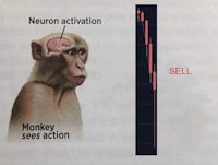 an image of a monkey's brain with the words neuron activation sell monkey action