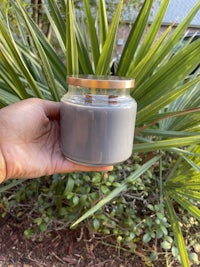 a person holding a grey candle in front of a palm tree