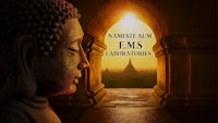 a buddha statue with the words namaste ems labs
