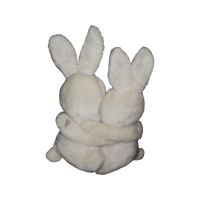 two white rabbits hugging each other on a black background
