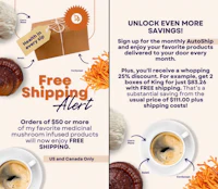 a flyer with a free shipping alert