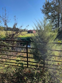 a farm with a fence and trees in the background