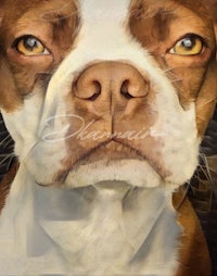 a painting of a brown and white boston terrier