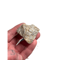 a person holding a rock in their hand